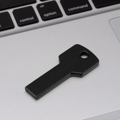 ALU KEY, usb flash memorija, crni, 8GB