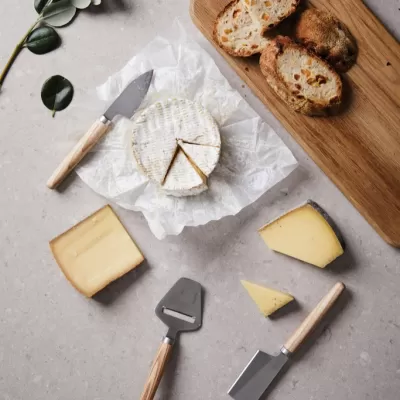 VINGA Retro cheese set