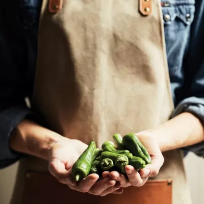 VINGA Asado Apron