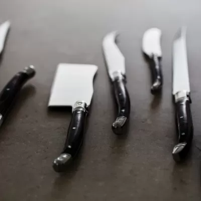 VINGA Gigaro cheese knives
