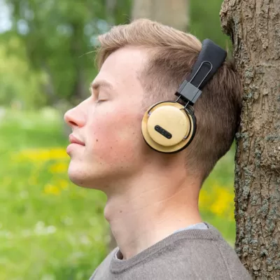 Bamboo wireless headphone