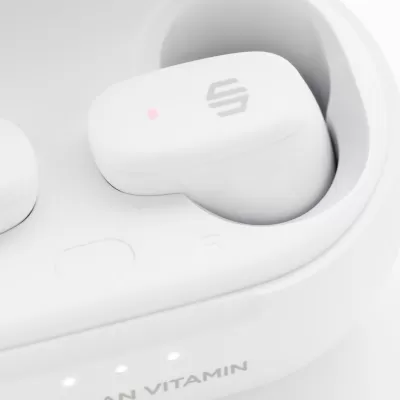 Urban Vitamin Gilroy hybrid ANC and ENC earbuds