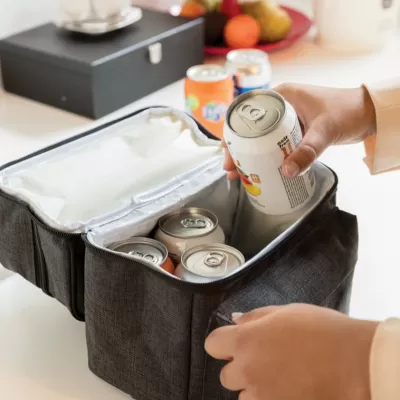 Cooler bag with 2 insulated compartments