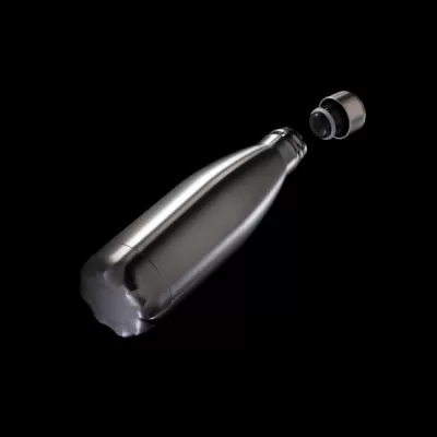 Vacuum insulated stainless steel bottle