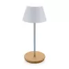 Pure Glow RCS usb-rechargeable recycled plastic table lamp