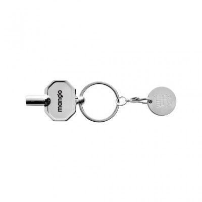 RCS recycled zinc alloy radiator key keychain with coin