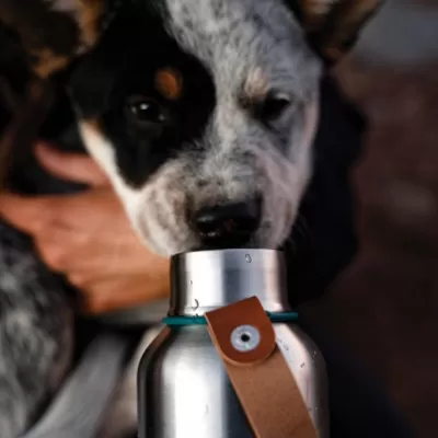 Black+Blum Insulated Water Bottle Large 750ml