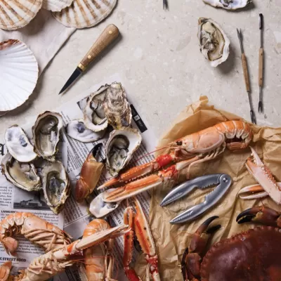 VINGA Story of seafood
