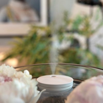 Breevia RCS rplasic re-chargeable floating humidifier