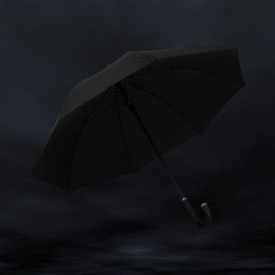 Swiss Peak Vero Aware™ RPET 25” umbrella w luxe handle