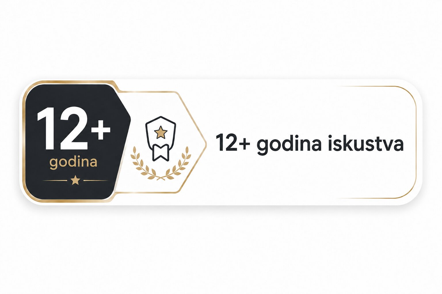 12+ godina iskustva