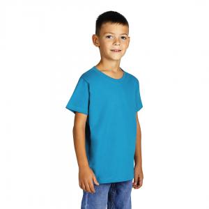5005426_002.jpg