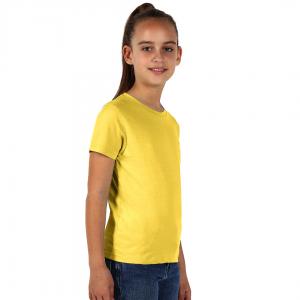 5007243_002.jpg